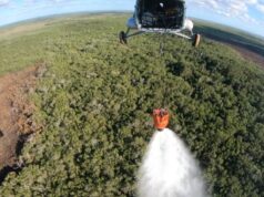 Semar sofoca incendio en la Reserva Ecológica de Dzilam de Bravo