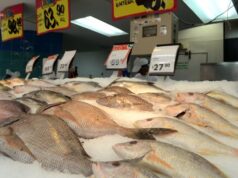 Mantiene Profeco recorridos por época de Cuaresma