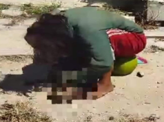 CAPTAN A MUJER COMIENDO UN GATO EN VILLAS DE ORIENTE