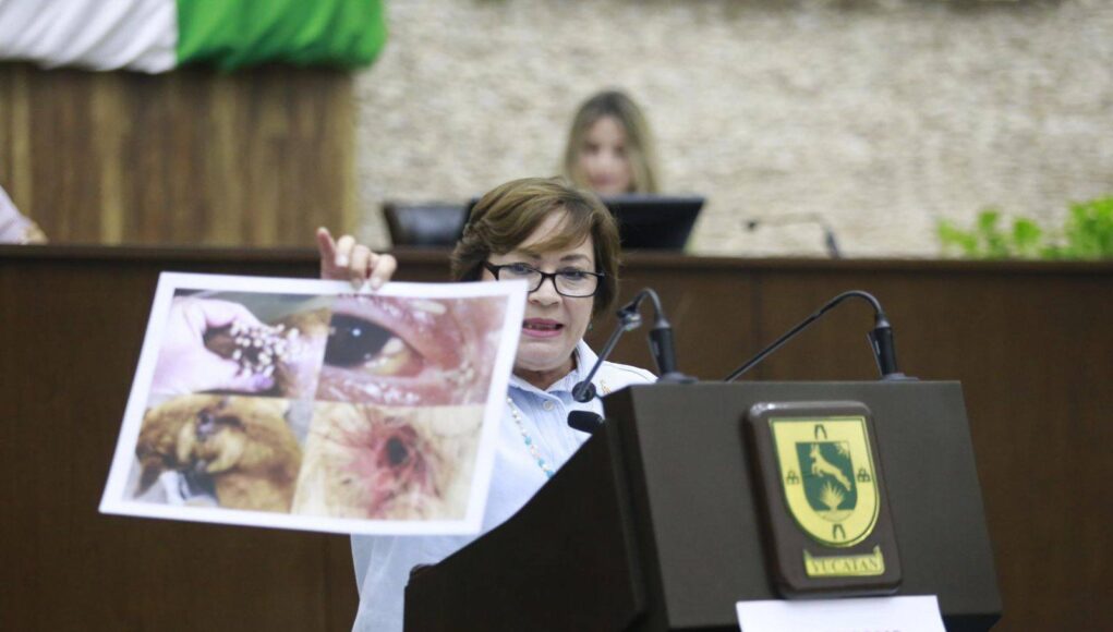 ACUSAN DESINFORMACIÓN EN EL CONGRESO: USAN IMÁGENES DE EUROPA PARA GENERAR ALARMA EN YUCATÁN