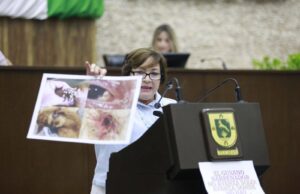 ACUSAN DESINFORMACIÓN EN EL CONGRESO: USAN IMÁGENES DE EUROPA PARA GENERAR ALARMA EN YUCATÁN