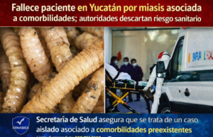 Fallece paciente en Yucatán por miasis asociada a comorbilidades; autoridades descartan riesgo sanitario