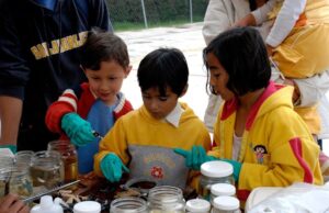 Presentan la edición 75 de la Gaceta Siidetey con 17 artículos científicos sobre biodiversidad, tecnología y cultura maya