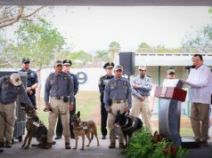 Yucatán integra nuevos binomios caninos para detección de explosivos