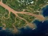 EL AMAZONAS: LA FUERZA INVISIBLE QUE ALIMENTA AL OCÉANO Y SOSTIENE EL PLANETA