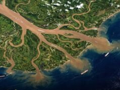 EL AMAZONAS: LA FUERZA INVISIBLE QUE ALIMENTA AL OCÉANO Y SOSTIENE EL PLANETA