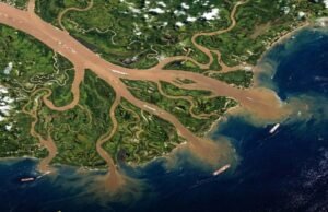 EL AMAZONAS: LA FUERZA INVISIBLE QUE ALIMENTA AL OCÉANO Y SOSTIENE EL PLANETA