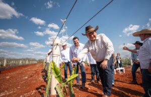 Pitahaya VAlley posiciona a Yucatán como referente nacional en producción de Pitahaya