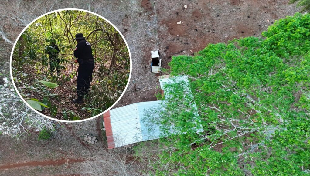 Continúa operativo de búsqueda en Oxkutzcab con apoyo de drones y despliegue policial