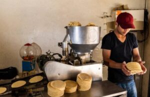 Precio de la tortilla en Yucatán se mantiene en $28 el kilo pese a alertas de aumento nacional