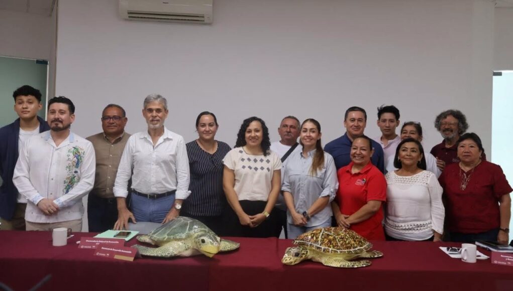 Yucatán fortalece protección de tortugas marinas: más de 12 campamentos operan en 279 kilómetros de costa