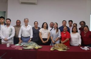 Yucatán fortalece protección de tortugas marinas: más de 12 campamentos operan en 279 kilómetros de costa
