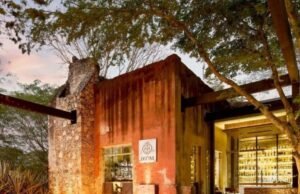 Yucatán conquista la élite gastronómica mundial con tres estrellas Michelin