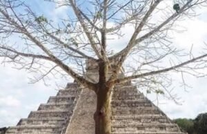 Continúa el cierre de Chichén Itzá; fracasan negociaciones entre artesanos y autoridades