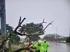 Fuertes lluvias y vientos generan 75 emergencias en Yucatán; SSP mantiene operativo de atención