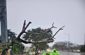 Fuertes lluvias y vientos generan 75 emergencias en Yucatán; SSP mantiene operativo de atención