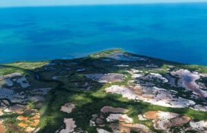 Amazonia yucateca: fotógrafo revela la riqueza oculta de los manglares del norte de la Península