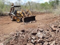 Clausuran predio por desmonte ilegal en la Reserva Cuxtal; aseguran maquinaria pesada