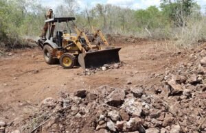 Clausuran predio por desmonte ilegal en la Reserva Cuxtal; aseguran maquinaria pesada