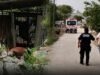 TRAGEDIA EN MAXCANÚ: ABUELITO MUERE TRAS ATAQUE DE ABEJAS EN SU PROPIO PREDIO