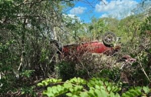 Encuentran automóvil abandonado entre la maleza en carretera de Cacalchén
