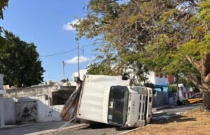 Rama de flamboyán provoca volcadura de camión de mudanzas en la colonia Alemán
