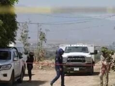 Descubren presunta fosa clandestina con decenas de restos humanos en El Salto, Jalisco