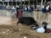Toro embiste a joven vaquero durante corrida en Buctzotz; termina hospitalizado