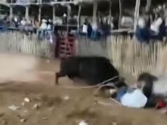 Toro embiste a joven vaquero durante corrida en Buctzotz; termina hospitalizado