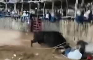 Toro embiste a joven vaquero durante corrida en Buctzotz; termina hospitalizado