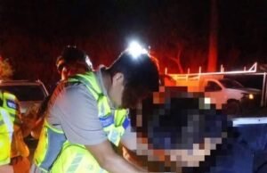 Localizan con vida a tres trabajadores tras intensa búsqueda en zona selvática de Playa del Carmen