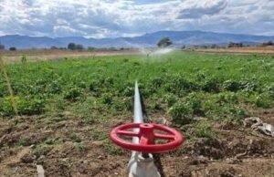 Impulsan soluciones hídricas para garantizar el futuro sostenible de la Península de Yucatán