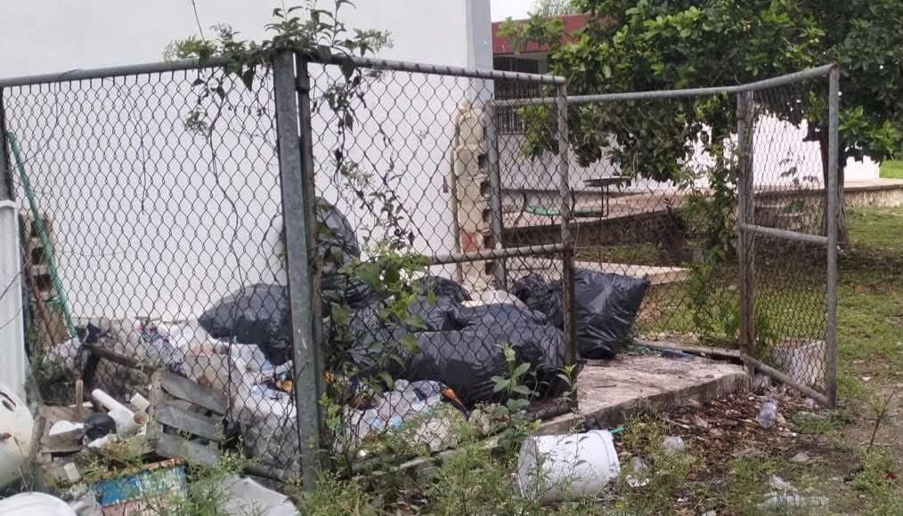 Moviliza presunta mordedura de serpiente a comunidad estudiantil del CECyTEY Hunucmá