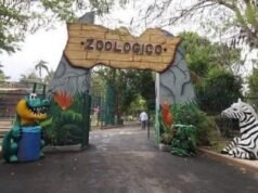 Ataque de jauría deja seis animales muertos en el zoológico del Centenario