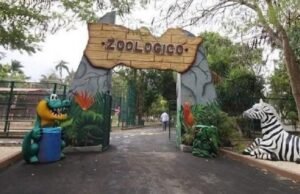 Ataque de jauría deja seis animales muertos en el zoológico del Centenario