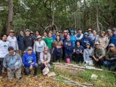 Impulsan red regional para proteger manglares y ecosistemas costeros en Yucatán