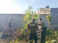 Rescatan a tres cachorros atrapados en un sumidero de Kanasín