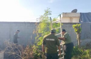Rescatan a tres cachorros atrapados en un sumidero de Kanasín