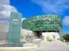 Impulsan agenda regional para proteger y revitalizar las lenguas indígenas del Sureste mexicano