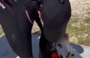 Capturan pez león en Akumal; alertan por riesgo creciente para los arrecifes del Caribe