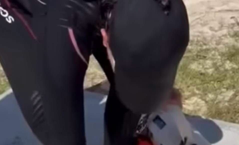 Capturan pez león en Akumal; alertan por riesgo creciente para los arrecifes del Caribe