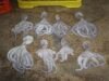 Más de 460 kilos de pulpo maya en veda derivan en proceso penal contra dos personas en Yucatán