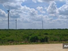 Yucatán acelera su transición energética con más de 40 proyectos renovables en cartera