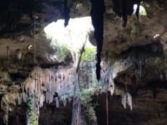 Cenote Puksi’ikal impulsa el turismo comunitario y preserva la esencia maya en Kanxoc