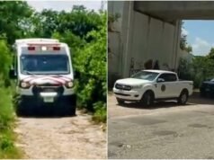 Hombre con discapacidad auditiva resulta herido tras ser arrollado por el Tren Maya en Yucatán