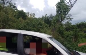 Sorprenden a presuntos abigeos dentro de un rancho en Valladolid; huyen tras ser descubiertos