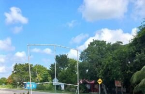 Indignación en Hunucmá por la poda extrema de almendros frente a plantel del COBAY