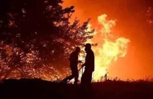 Europa enfrenta una ola de incendios forestales; miles de bomberos luchan contra el fuego en tres países