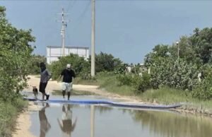 Vecinos de Sisal alertan por presuntas descargas de agua hacia humedales desde obra suspendida