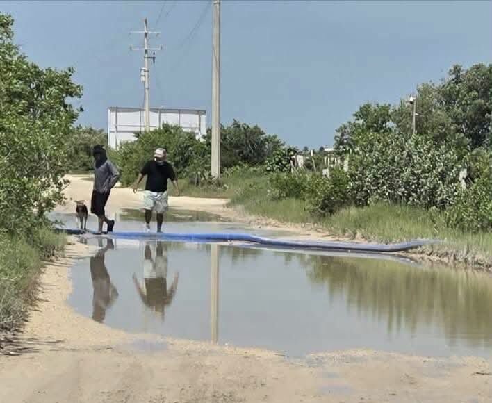 Vecinos de Sisal alertan por presuntas descargas de agua hacia humedales desde obra suspendida